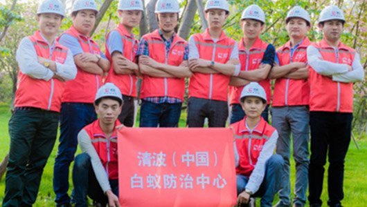實力雄厚 資質齊全